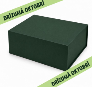 Green gift boxes with a magnetic closure