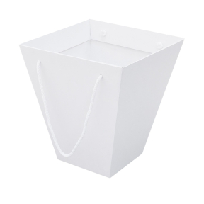 Microcorrugated cardboard box
