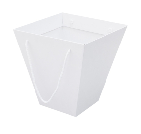Microcorrugated cardboard box