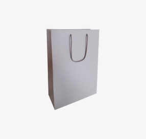 Light gray paper bags with fabric handles