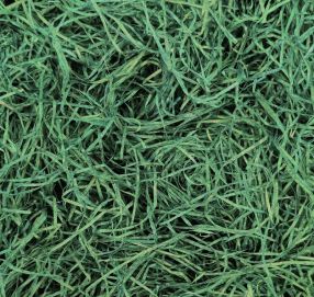 Стружка для декорирования